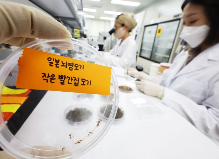 사진출처=연합뉴스