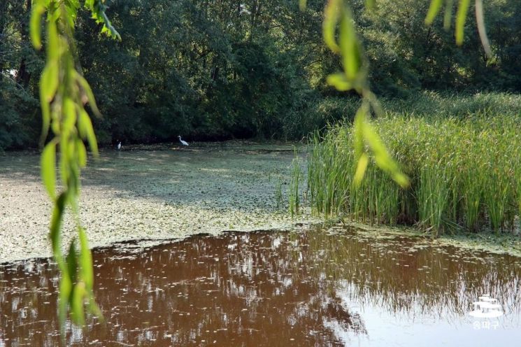 방이습지 장지공원 오금공원...송파구 '숨겨진 휴양지'