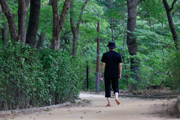 방이습지 장지공원 오금공원...송파구 '숨겨진 휴양지'