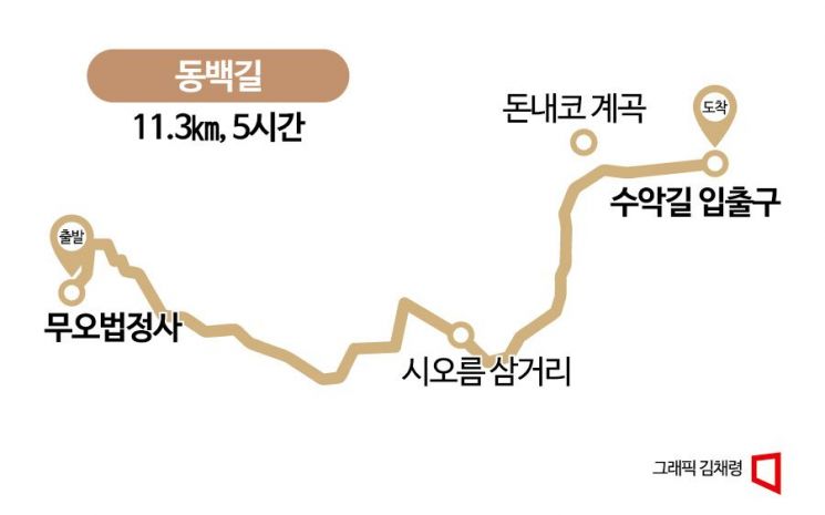 [하루만보]4·3의 아픈 역사 간직한 동백길