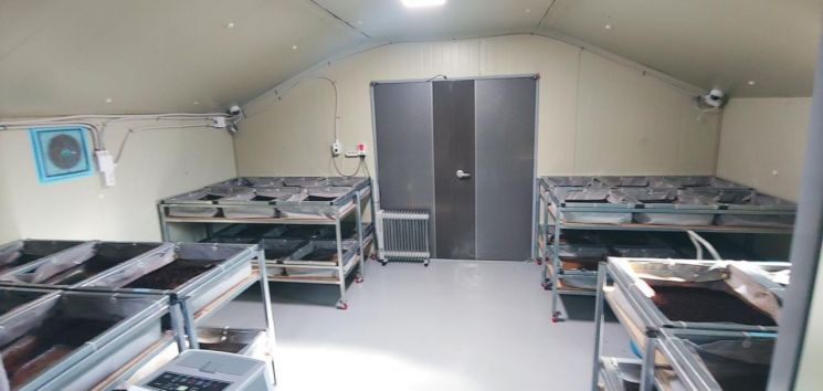 黑水虻幼虫养殖设施。忠清南道提供