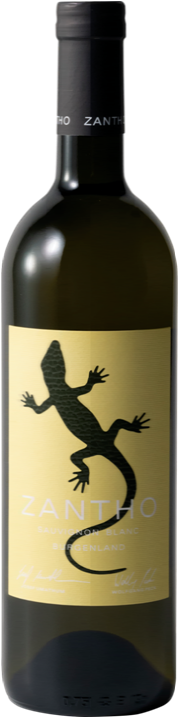 찬토, 소비뇽 블랑(Zantho, Sauvignon Blanc)