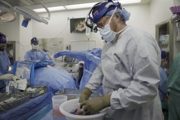 지난달 14일 뉴욕대 의대 로버트 몽고메리 박사가 돼지 신장 이식 수술을 준비하고 있다. [이미지출처=AP연합뉴스]