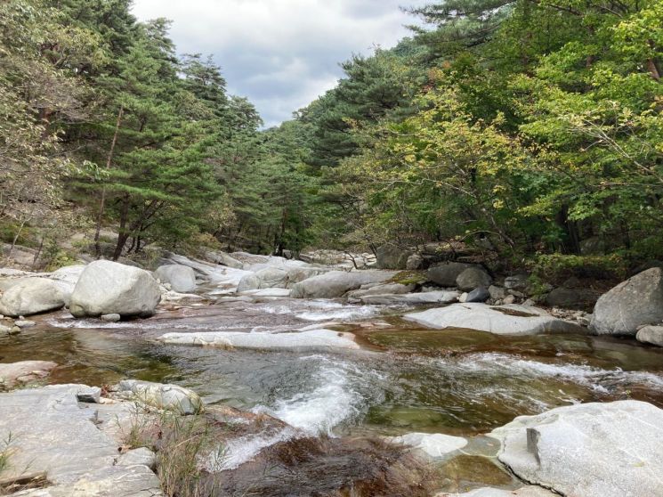大关岭古道路段流淌的溪水，让人暂时忘却夏季的酷暑。林业厅提供