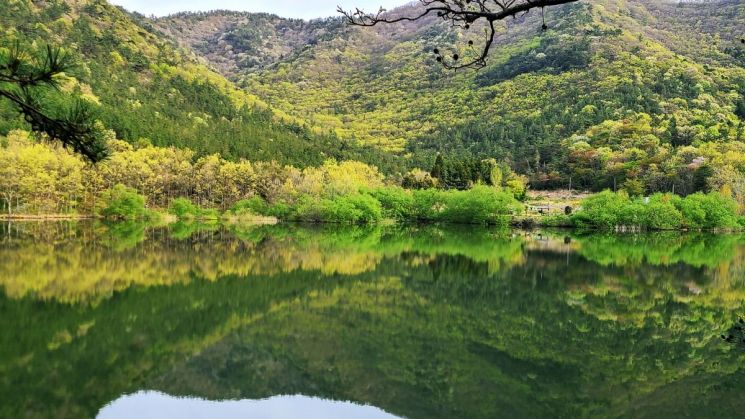 位于海南金刚山的金刚水库全景 海南郡提供