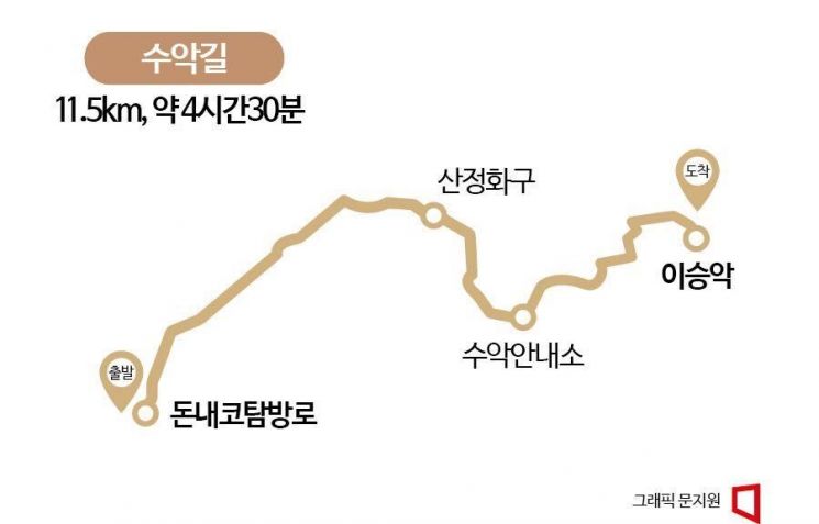 [하루만보]삼나무·소나무 울창한 제주 수악길