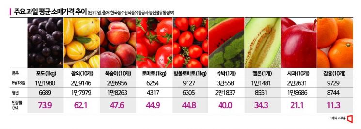 "참외 1개 3000원" 명절 장바구니 과일 담기 겁난다