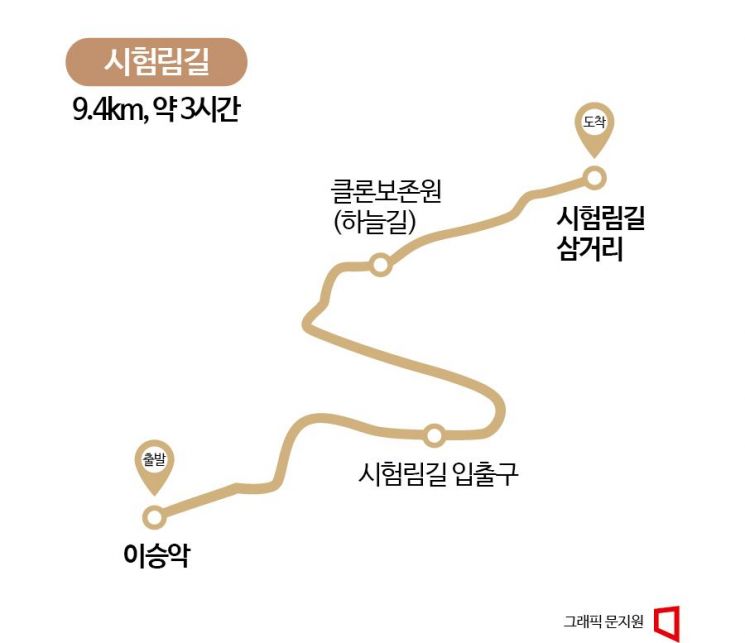 [하루만보]1년에 절반만 걸을 수 있는 '시험림길'
