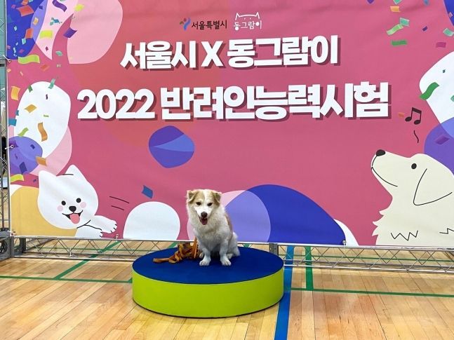 "나는 몇점 집사?"…'반려인 능력시험' 응시 4년만에 12배 증가