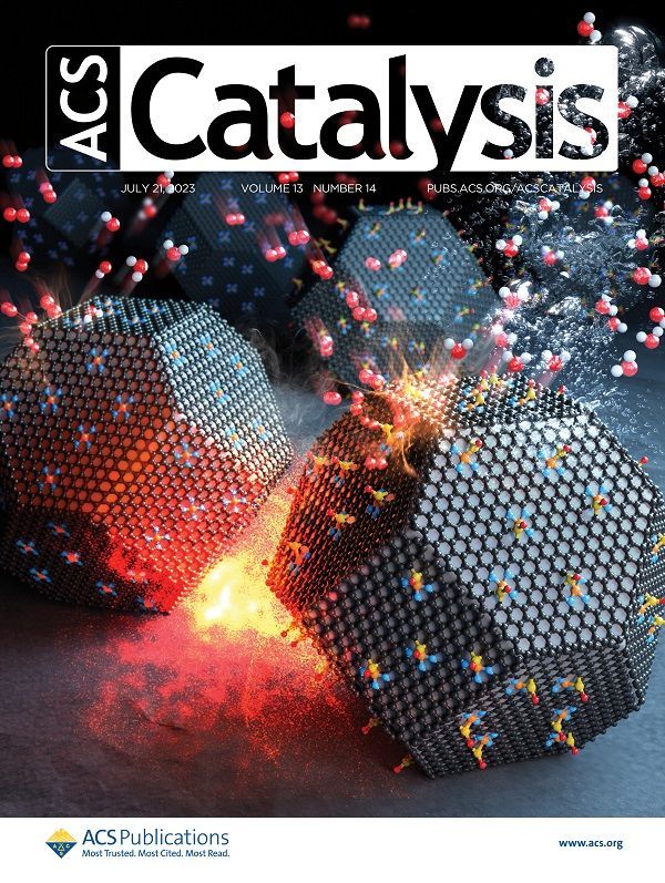 1000배 싼 수소연료전지 비귀금속 촉매 개발