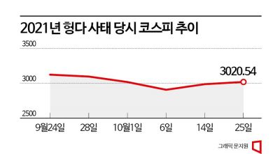 [中리스크, 한국파장]④"국내 증시에 이미 반영" vs "관련 산업에 악영향"