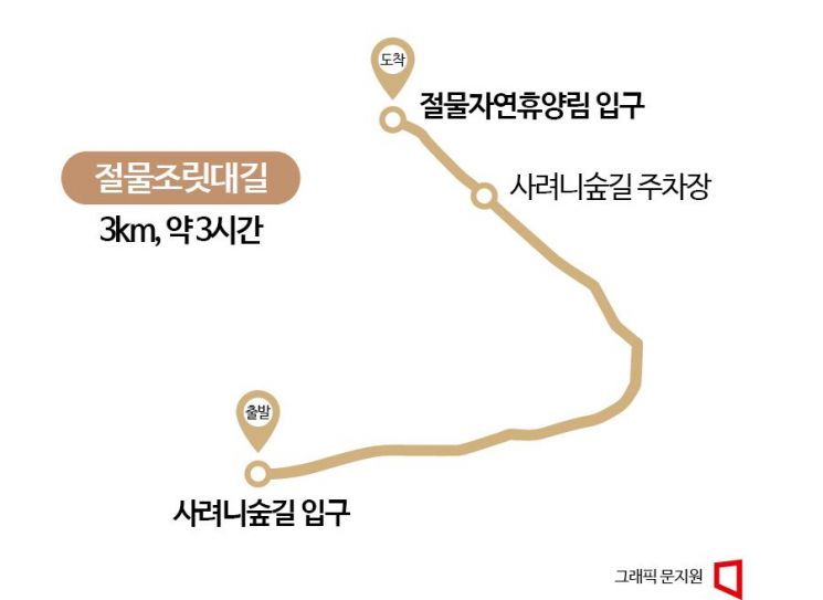 [每日一万步]在杉木林中尽享芬多精的“Jeolmul竹林步道”
