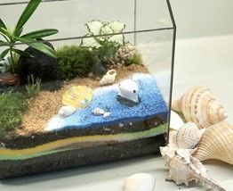 '고래 품은 정원' 테라리엄 작품.