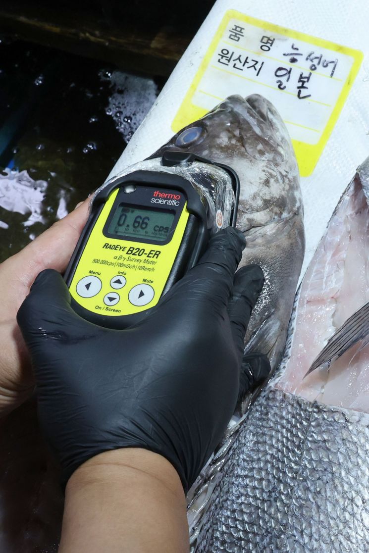 22일 오후 서울 동작구 노량진수산시장에서 시장관리부 직원이 일본산 수산물에 대해 방사능 검사를 하고 있다. [이미지출처=연합뉴스]