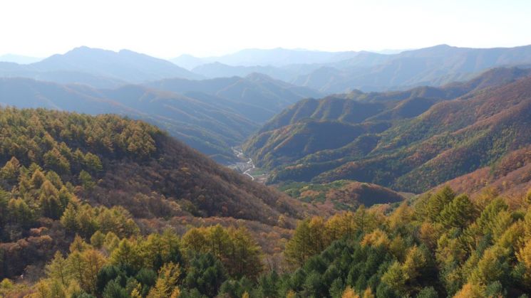 在天空步道和森林步道上可见的白头大干主脉山脉全景。山林厅提供