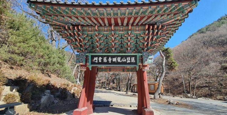 부처 세계로 들어가는 첫 관문, 보물로 가치 재조명