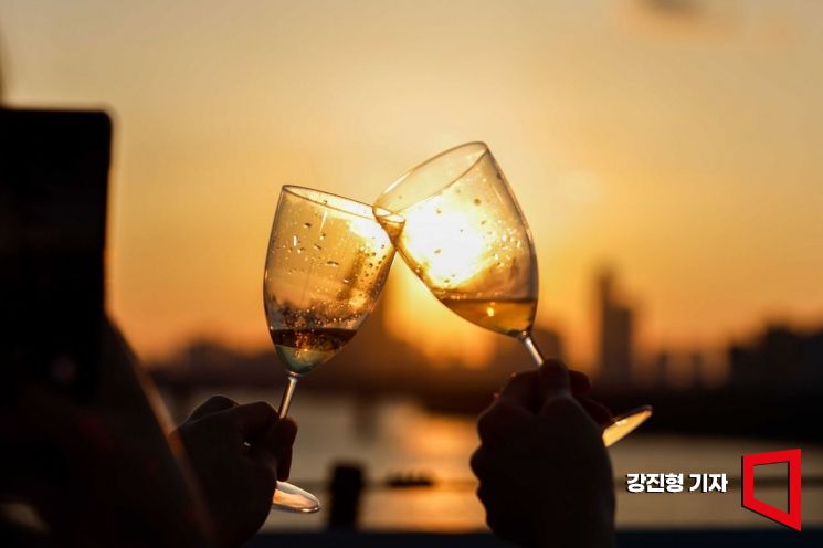 [비酒류 시대]④불경기 바로미터 와인…가성비 경쟁 점화  