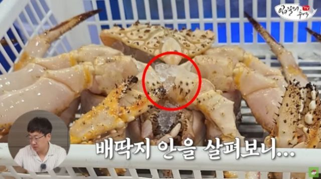 "배딱지 안에 얼음을…" 수산시장 '신종 바가지' 논란