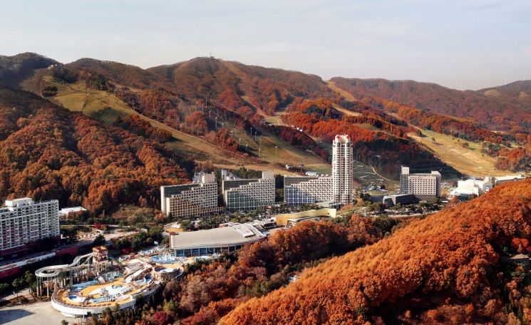 [오늘의여행]반려견과 함께 비발디파크서 골프 라운딩 外