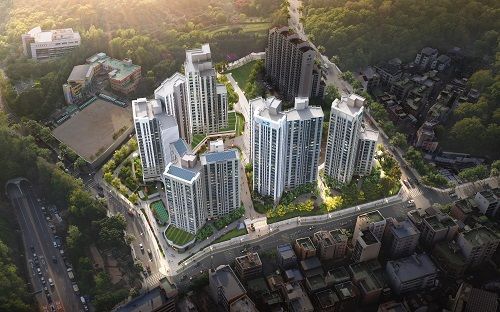 [Anyang Xi The Forest Bird's-eye View]