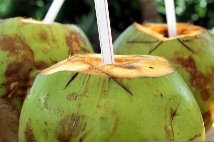 남들은 안 먹는 과일로 '찰칵'…中서 40배 치솟은 코코넛값