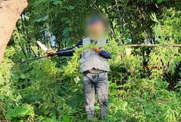 서귀포 리조트 내 대나무를 훔친 A씨. [사진출처=서귀포경찰서]