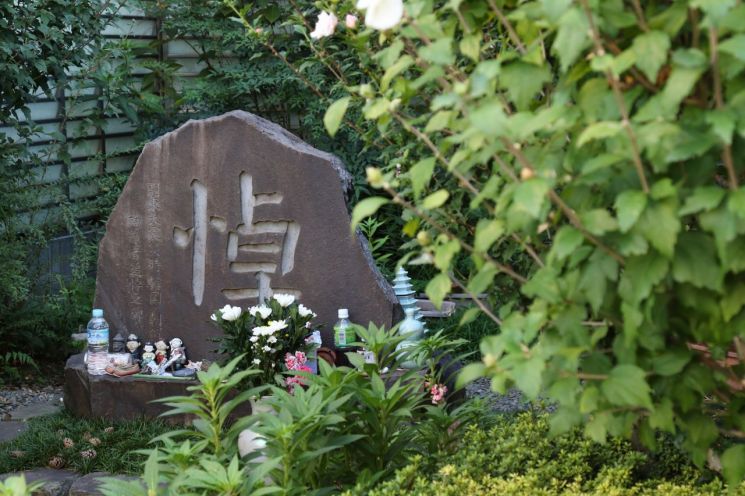 [이미지출처=연합뉴스]