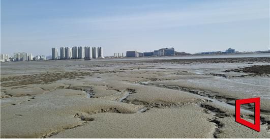 송도갯벌 [사진 제공=인천시]