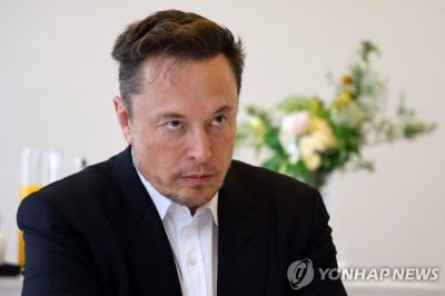 일론 머스크 테슬라 최고경영자(CEO) [이미지 출처=AFP 연합뉴스]