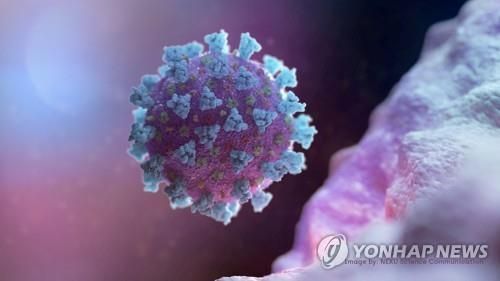 코로나19 새 변이 美 확산…"돌연변이 30개 더 많아"