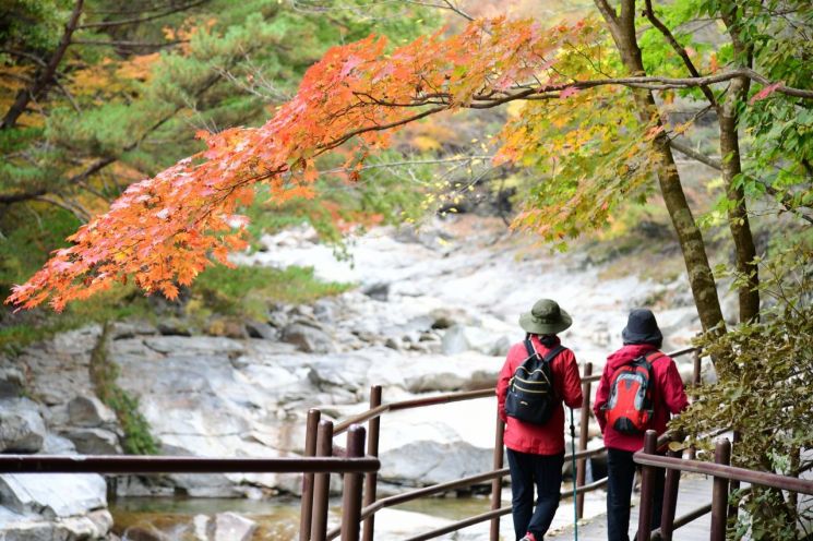 환경부, '강우레이더 재난경보' 17개 국립공원으로 확대
