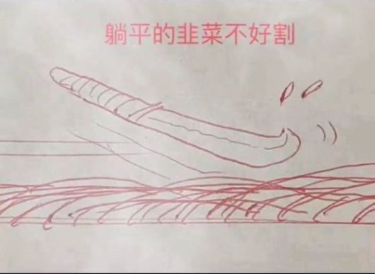 중국 인터넷에서 유행 중인 탕핑족을 표현한 이미지. "누운 부추는 베지 못한다"는 탕핑족들의 강령이 나와있다.[이미지출처=웨이보]