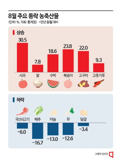 사과 30.5%↑·쌀 7.8%↑…농산물이 끌어올린 먹거리 물가