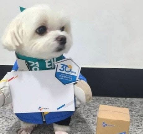 경태 [사진 출처 = 경태아부지 SNS 캡처]
