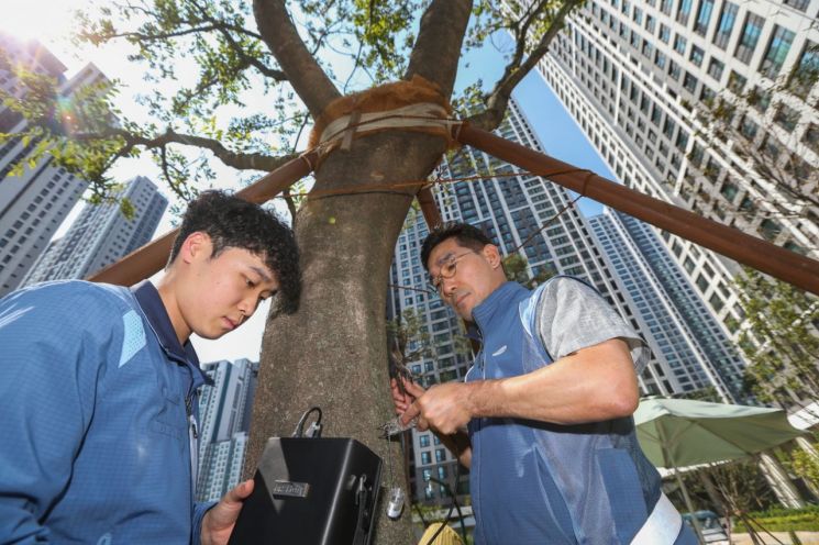 검암역 아파트 단지에서 나무의 상태를 진단하고 있는 나무의사. 연합뉴스