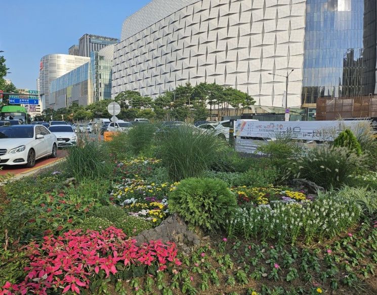송파구, 메리골드·국화 등 계절꽃으로 새단장