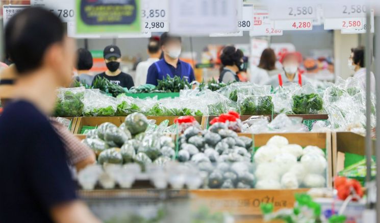 지난달 27일 서울 시내의 한 대형 마트에서 시민들이 진열된 물품들을 살피고 있다. [이미지출처=연합뉴스]