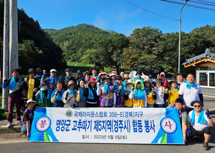 고추 따기 봉사활동을 실시한 영양군 국제라이온스협회 356-E(경북)지구 300여명 회원들.