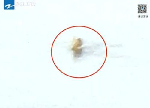 백두산 천지 또 '괴생명체' 발견…중국 SNS 시끌벌적