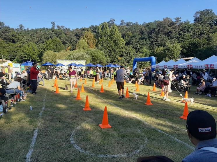 강동구가 진행한 지난해 동물사랑 축제 모습(사진=강동구 제공)