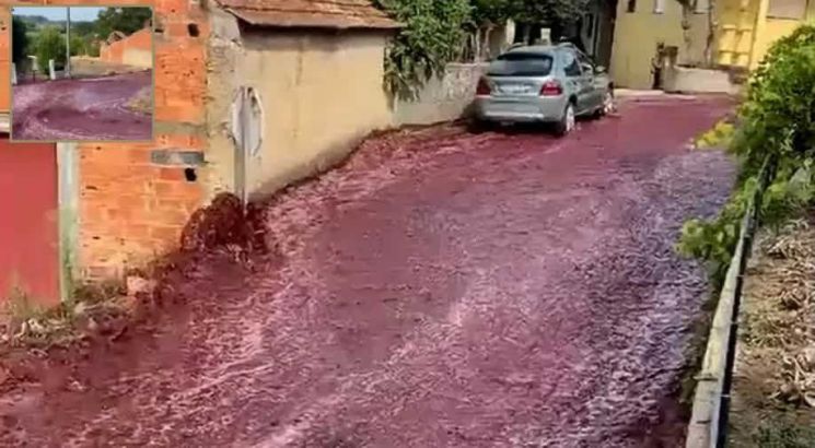 길거리에 포도주가 강처럼 흐른다…'검붉은 액체'로 뒤덮여진 포르투갈 마을