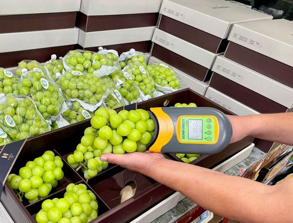 "전량 손으로 당도 검수" 현대百, 과일세트 한정 판매