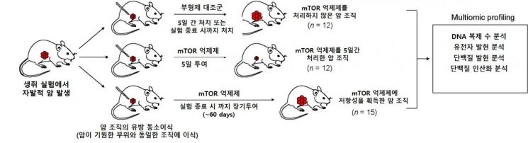 [콕!건강]유방암 표적항암치료 무력화 유전자 찾아