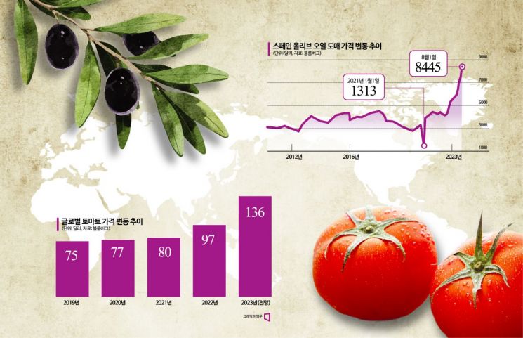 소시지도, 토마토도 가격 '쑥'…밥상 덮친 기상이변