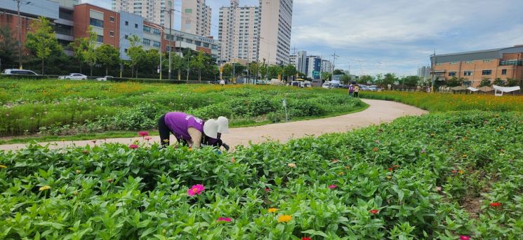 首尔市立图书馆（东大门）用地花卉园开园