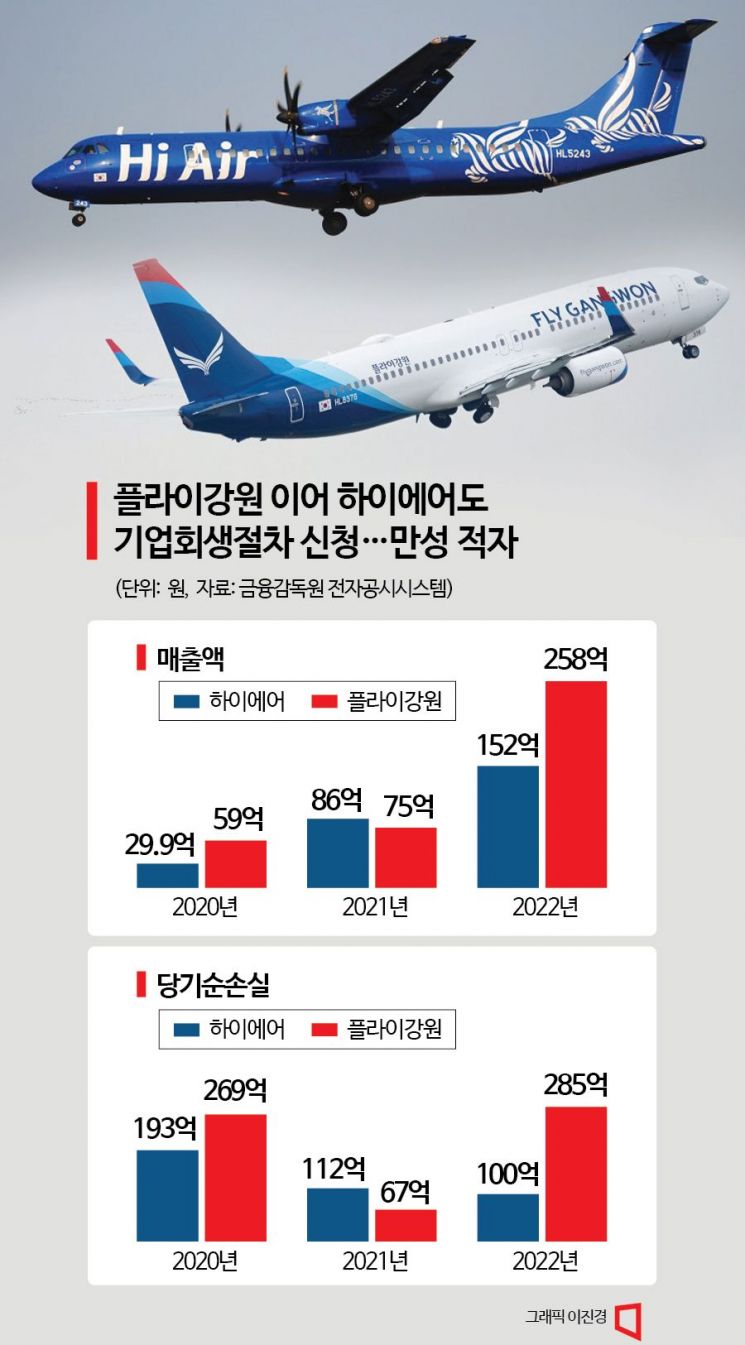 LCC 이대로 괜찮나…하이에어도 기업회생