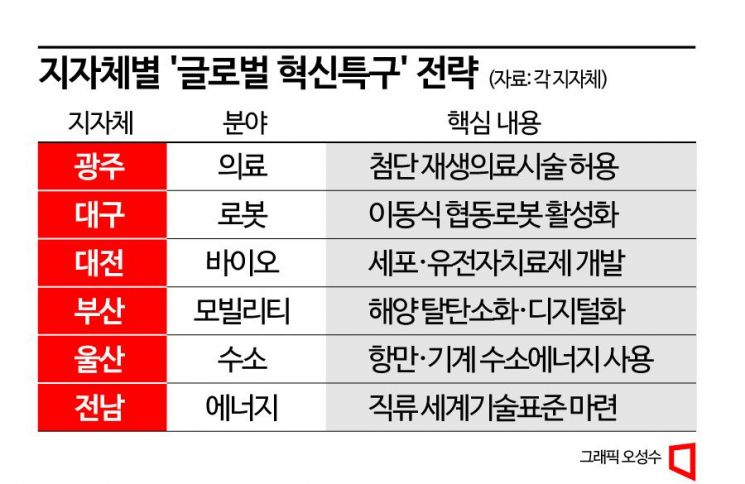 "네거티브 규제 수십조 효과"…지자체, '글로벌 혁신특구'를 잡아라