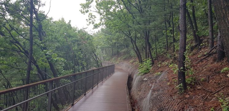 녹음이 짙어진 여름철, 만수산 무장애 숲길에 목재형 데크길이 길게 조성돼 있다. 산림청 제공