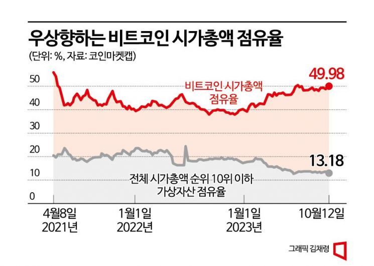 가상자산에서 비트코인 시가총액 비중 50%…추락하는 알트코인