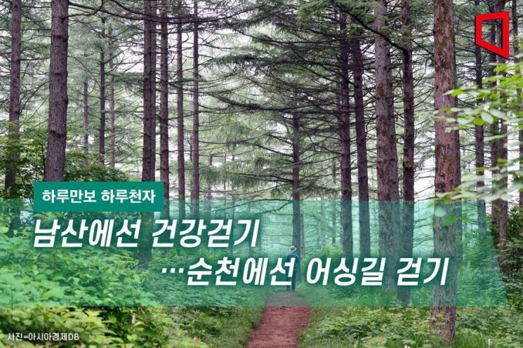 [하루만보 하루천자]남산·순천만·호미반도…21일 어디서든 걸으세요